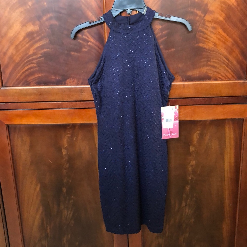 NWT Navy dressy dress